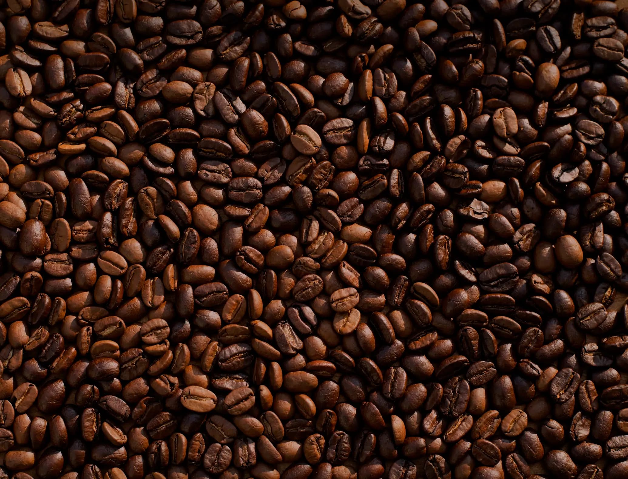 Fèves de cacao premium et café